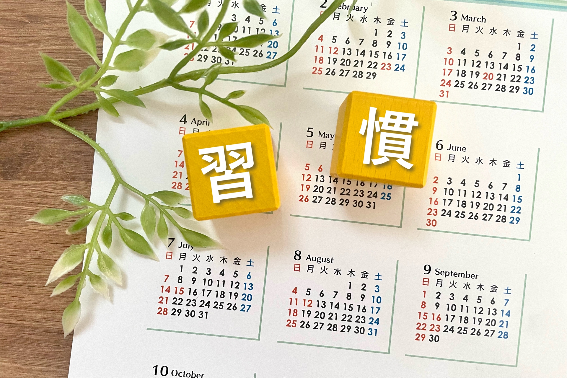 毎日の習慣として乳酸菌を取り入れる女性のイメージ