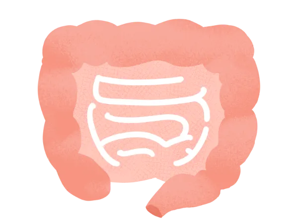 腸もみだけで腸内環境は整う?