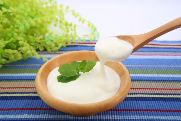 乳酸菌とは？食品から摂る前に知っておきたい基本