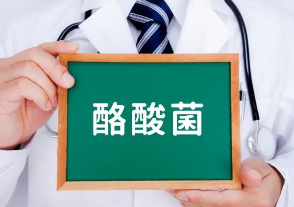 酪酸菌とは、どんな菌？