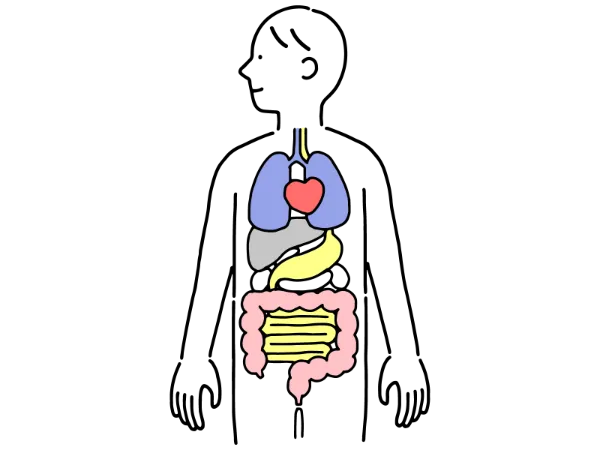 歯周病は口だけの問題ではない?見落とされがちな全身との関係