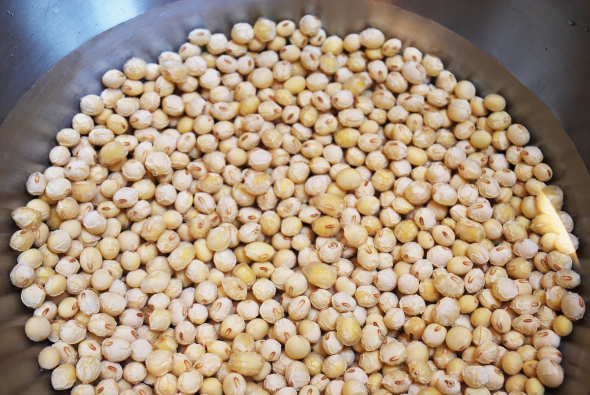 乾燥大豆と鍋・ミキサーを前に手作りの準備をする女性のイメージ