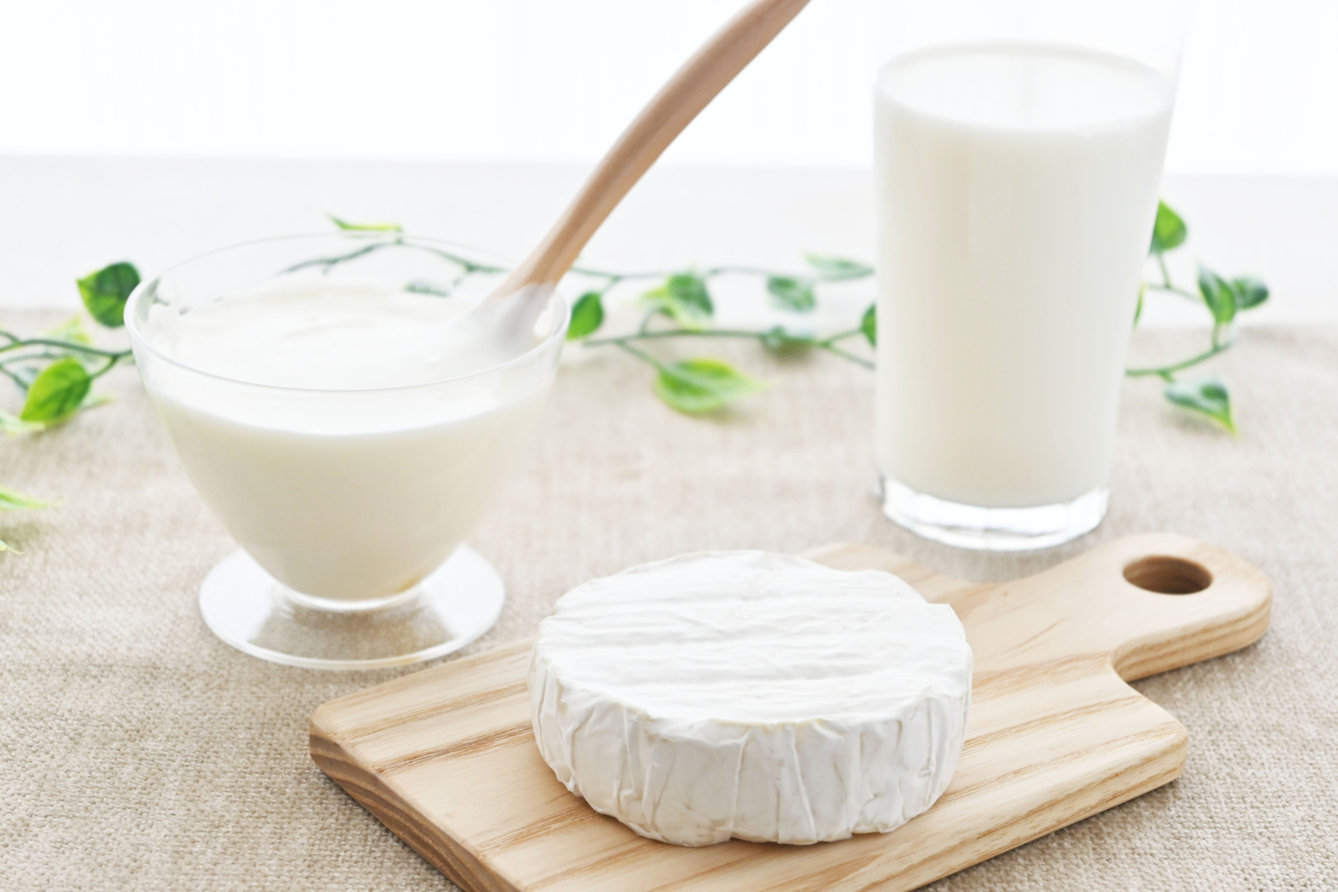 成分無調整牛乳とプレーンヨーグルト（種菌）
