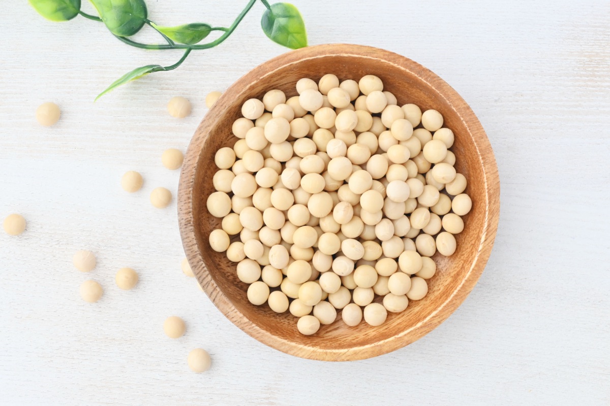 大豆と納豆を並べた様子|発酵で生まれる成分のイメージ