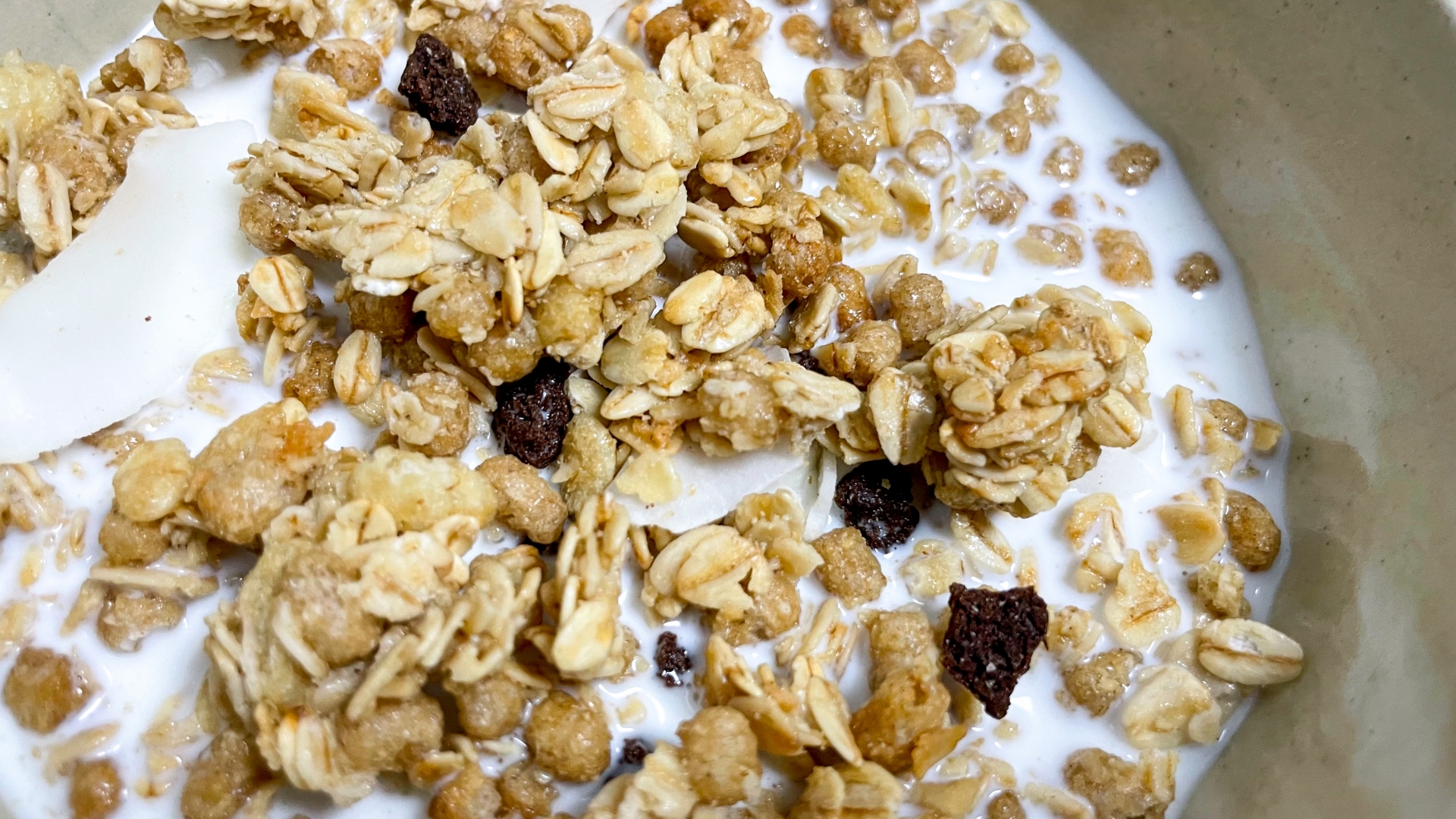 器に入ったオートミールと食物繊維豊富な穀物｜オートミールと腸内環境の関係のイメージ