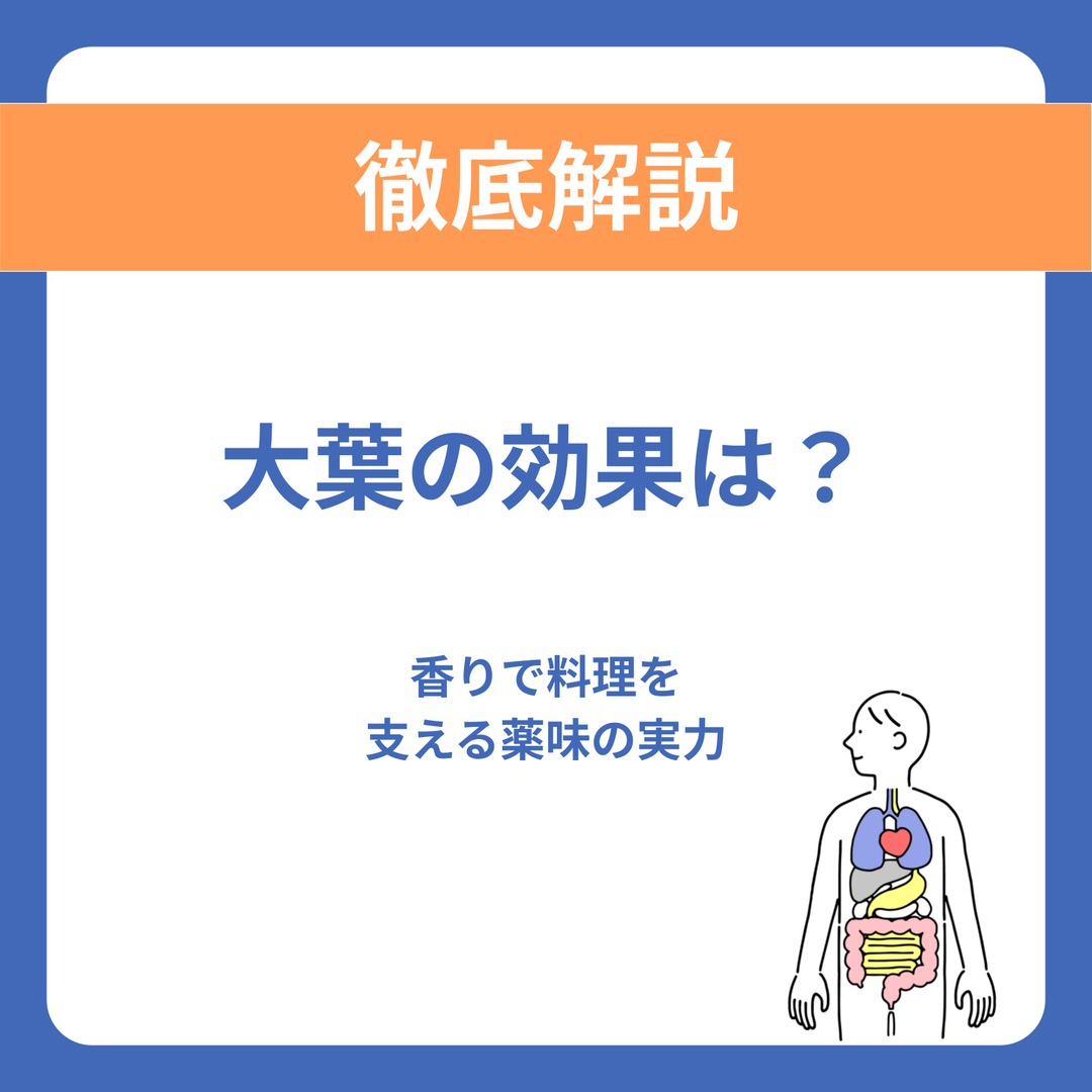 大葉の効果は？香りとβ-カロテンを持つ、薬味に使う青じその実力