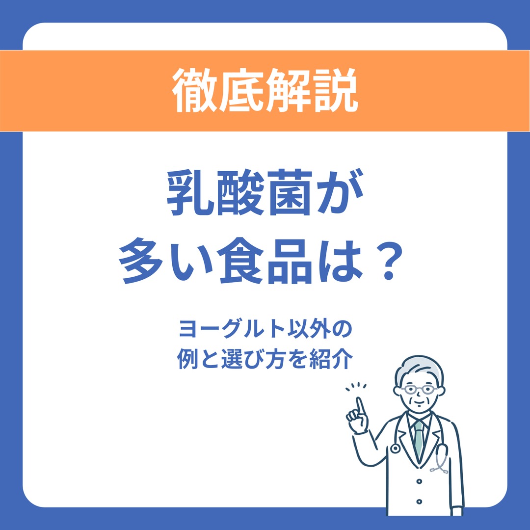 乳酸菌が多い食品は？