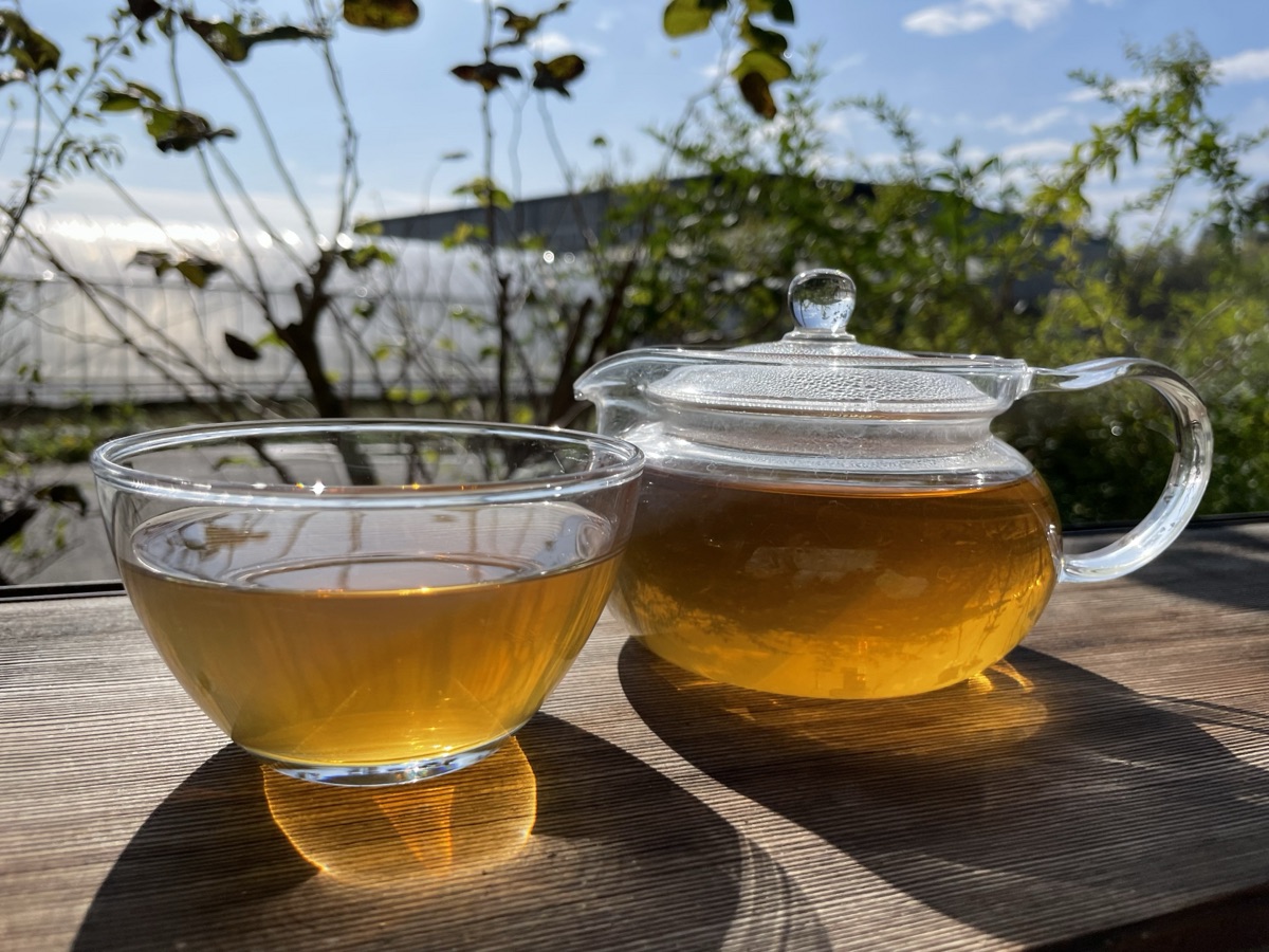 胡麻麦茶のグラス｜麦茶ベースの飲み物のイメージ