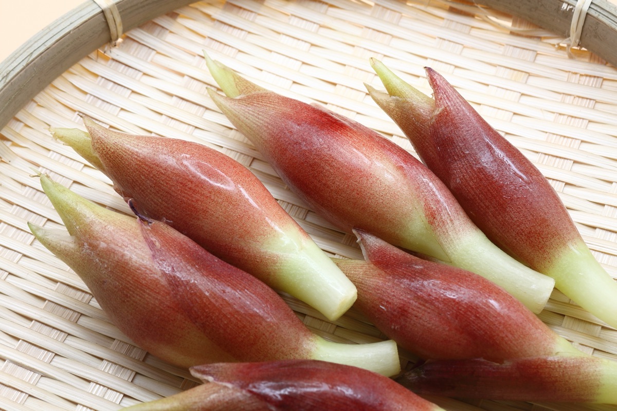 みょうがの特徴｜香味野菜のイメージ