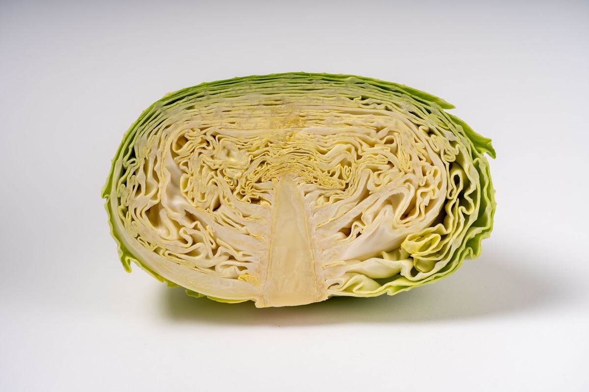 半分に切ったキャベツ｜成分のイメージ