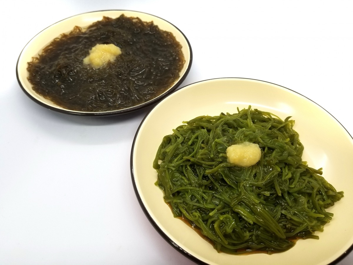 わかめ・もずく・昆布|種類の違いのイメージ