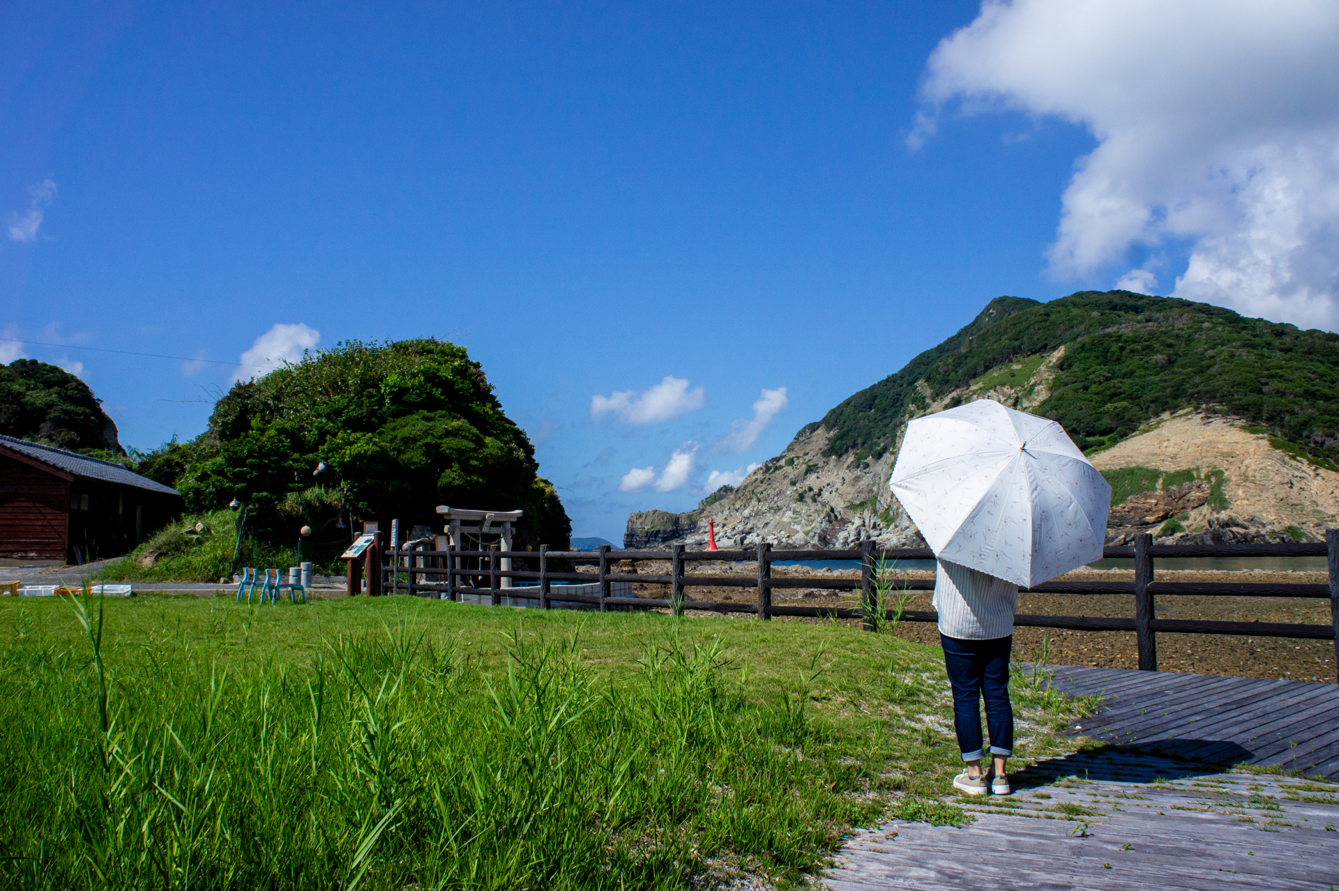 腸活習慣を続ける日常の食卓や散歩の様子